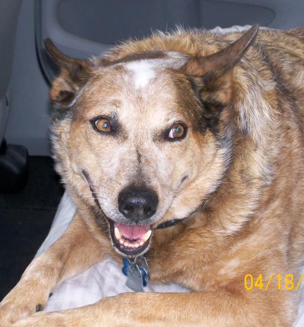 /Images/uploads/Humane Society of Utah/HSUCalendar/entries/1684thumb.jpg